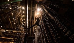 Cibo South Beach Modern Metal Wine Rack and Cellar