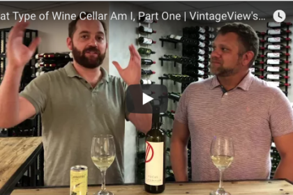 Wine Cellar Types